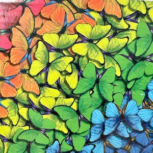 FINAL!  "Butterfly Morph" 20-Minute Puzzle 100 Pc.